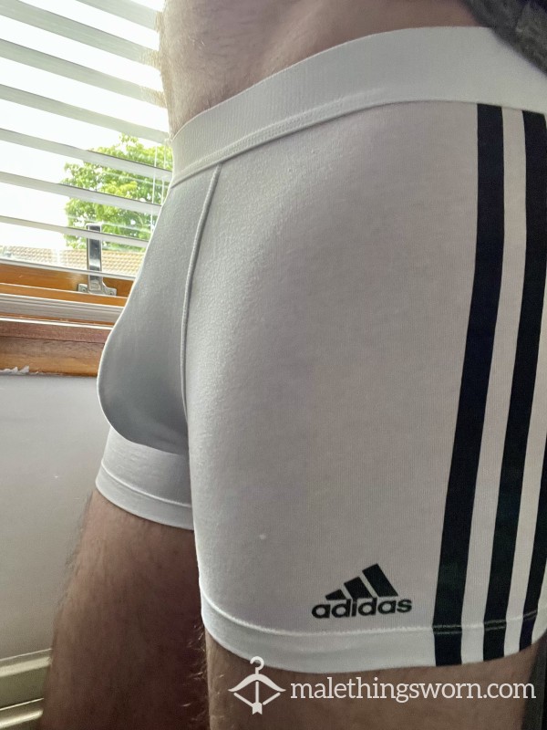 “SOLD” Adidas White Boxers (L)