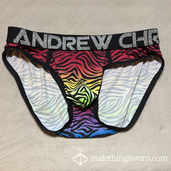 Andrew Christian Pride Rainbow Zebra Print Briefs