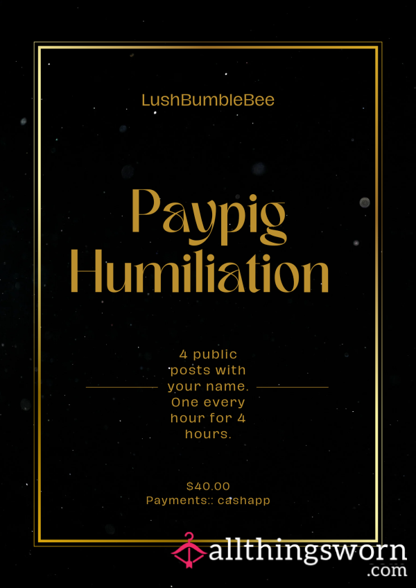 ❗️ Paypig Humiliation 🐷