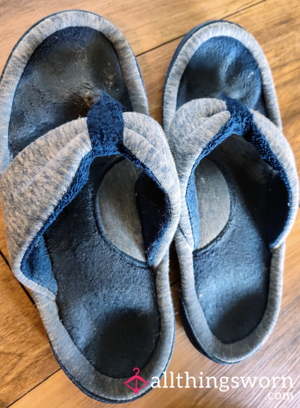 Blue House Slippers