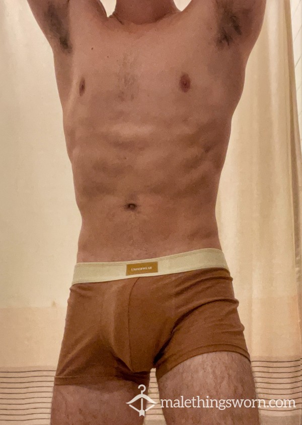 Brown And Tan Boxer Briefs