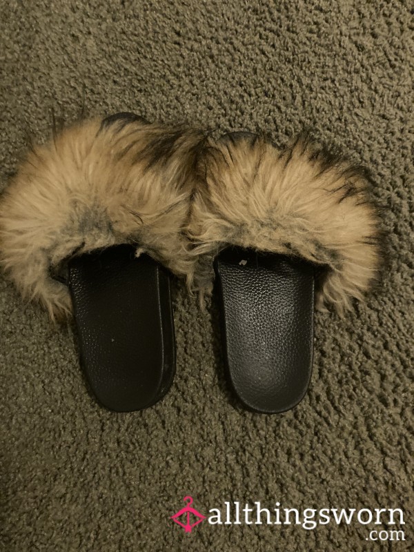 Cashmere's Slippers