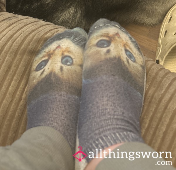 Cat Socks Worn