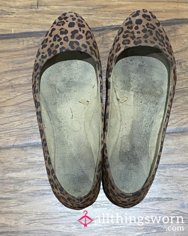 Cheetah Flats