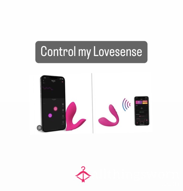 Control My Lovesense Toy