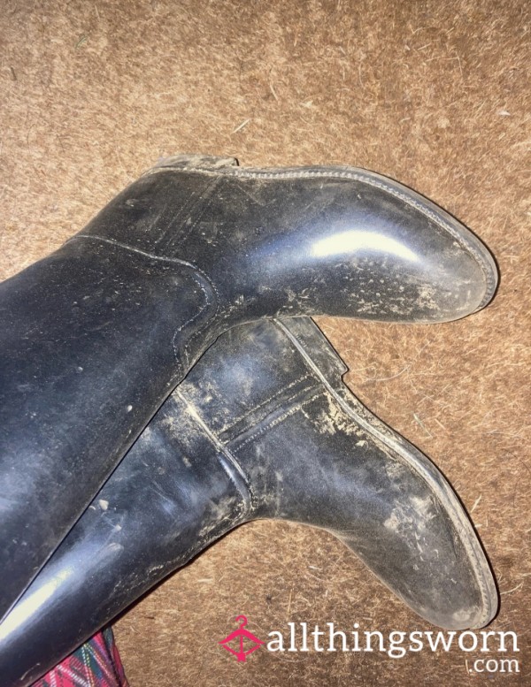 Dirty Dressage Riding Boots