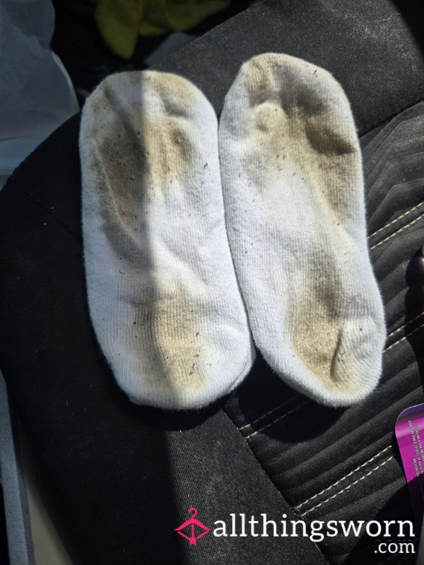 Dirty Socks. Cleaned A Rental House In Them.