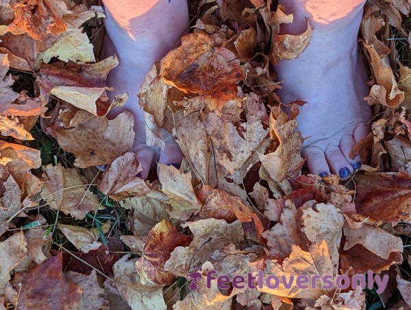 Feet In The Leave