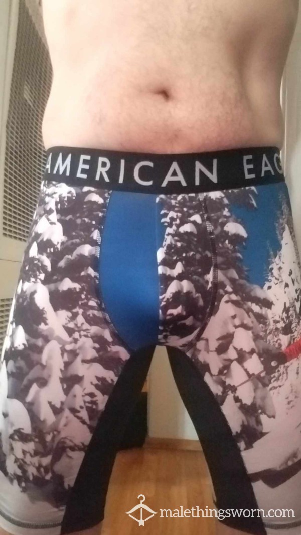 Freshly Worn American Eagle Boxer Briefs