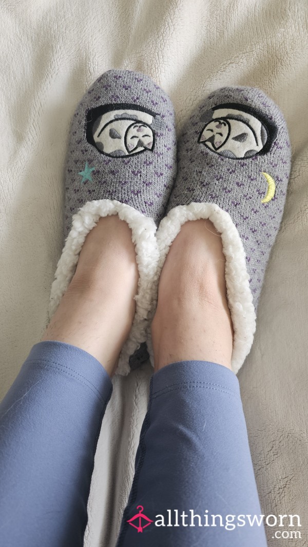 Fuzzy Gently Worn Kitty Slippers!