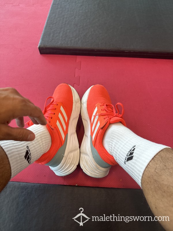 Gym Adidas Shoes