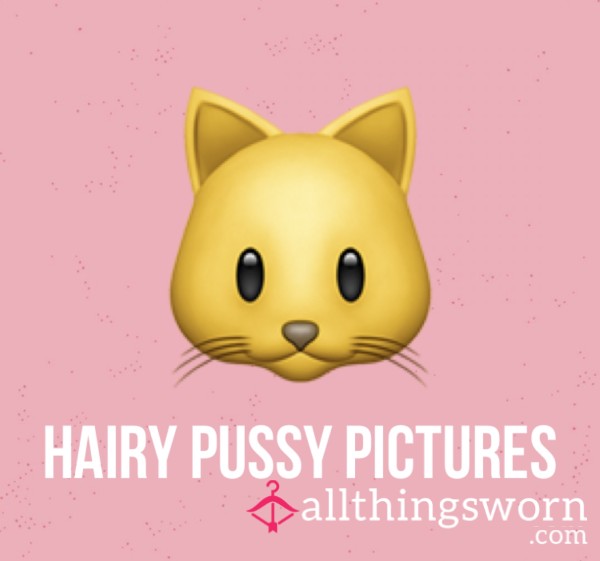 Hairy Pu**y Pictures🐱