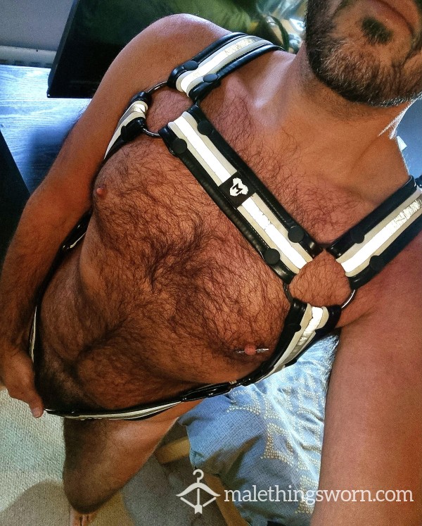 Harness (with Attached C*ckring) 😈⛓️