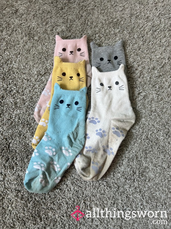 Kitty Cat Socks, Well-Worn