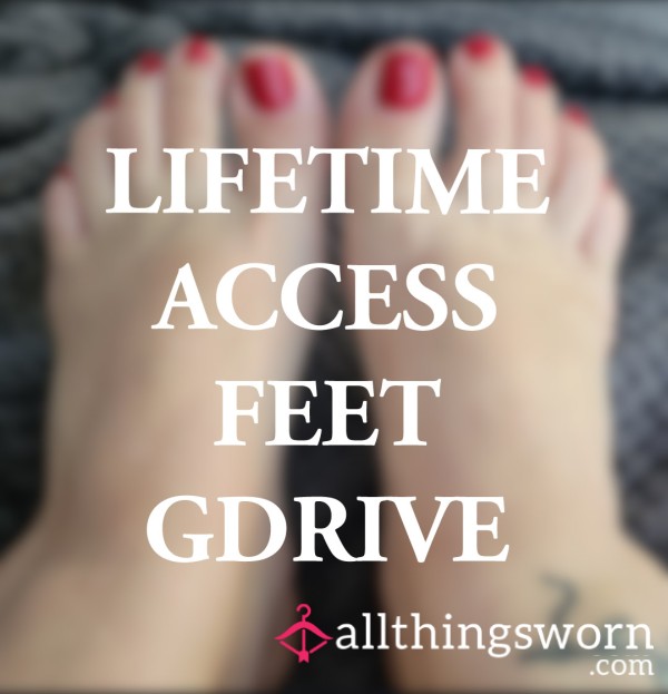 Lifetime Google Access Feet Drive