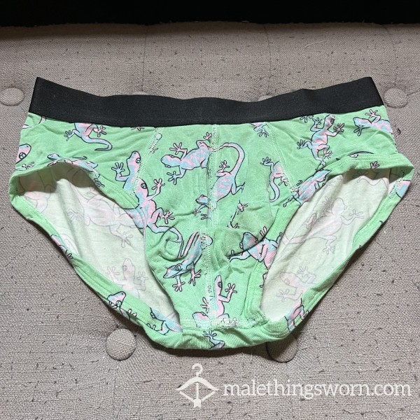 Lizard Briefs MeUndies Well Worn