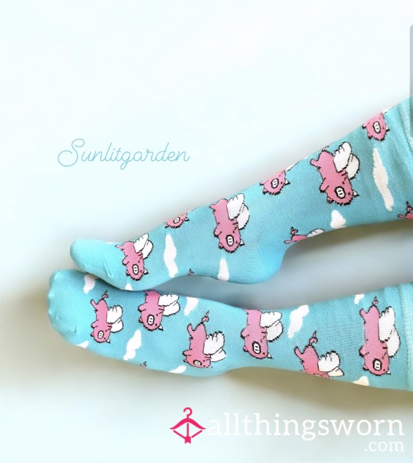 Oink 🐽 Piggy Socks 🪽