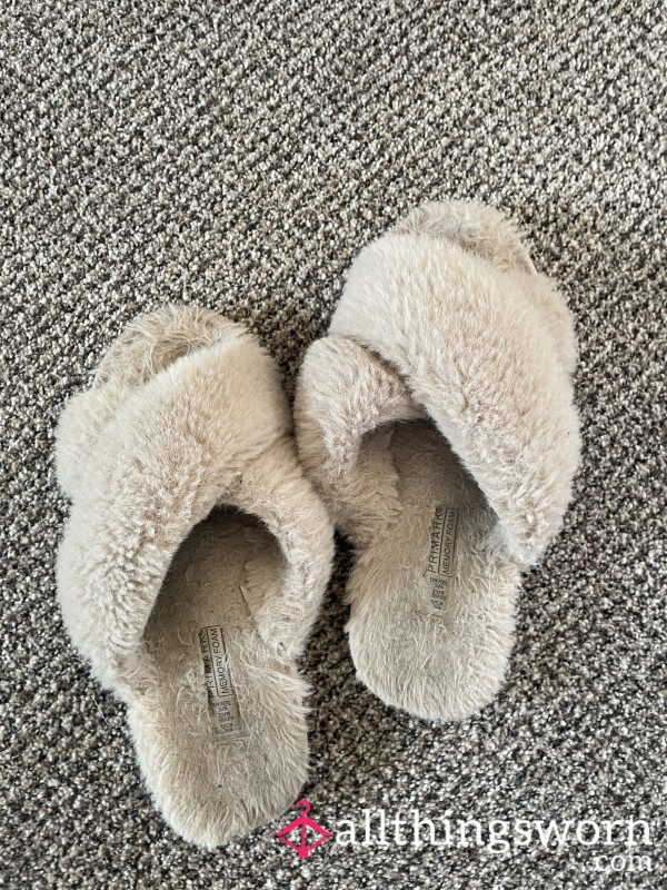 Old Fuzzy Slippers