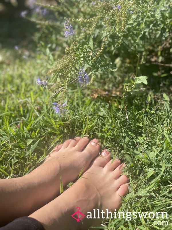 Piggies On A Hike