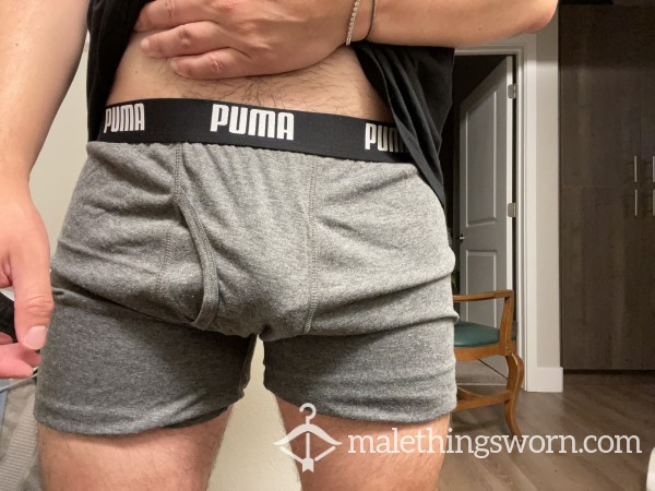 Puma Boxer Briefs (Large)