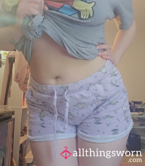 Purple My Neighbor Totoro Shorts