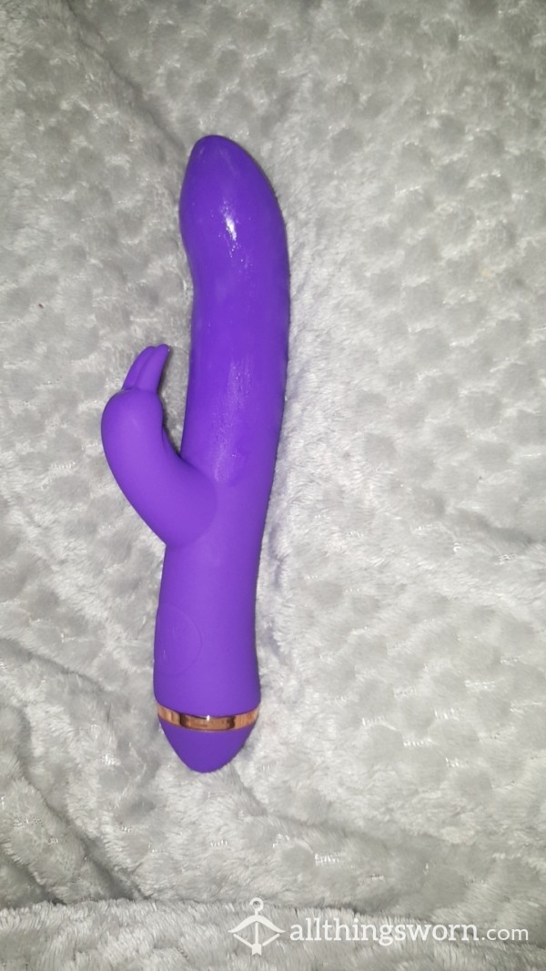 Well Used Purple Rabbit Vibrator