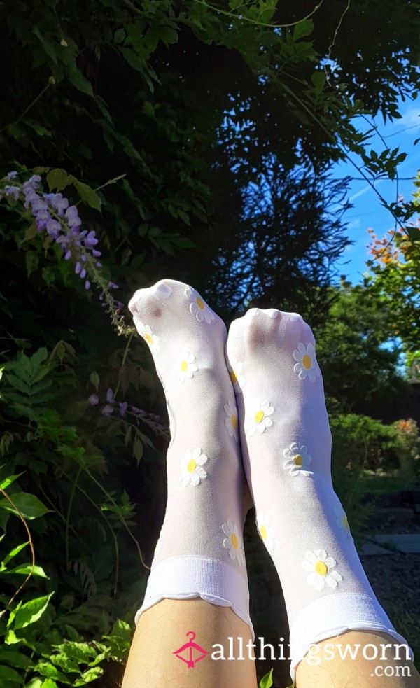 Sheer White Socklets With Daisies And Scalloped Edges