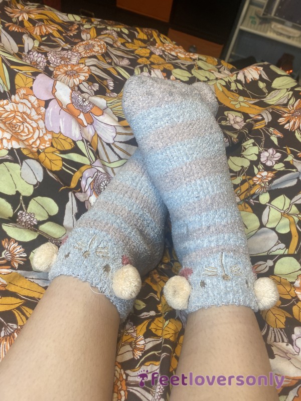 Used Dirty Falling Apart Fuzzy Cat Socks