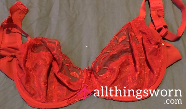 Used S**y Red Bra