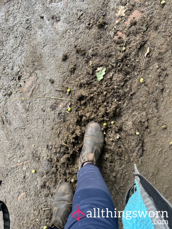 Very Well Worn Stinky !!! Horse Boots