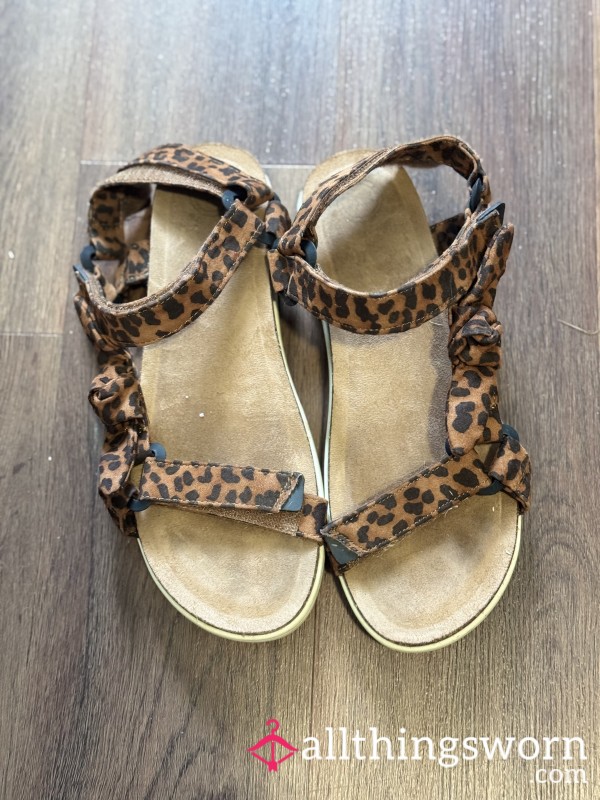 Well-Worn Cheetah Sandals 🐆