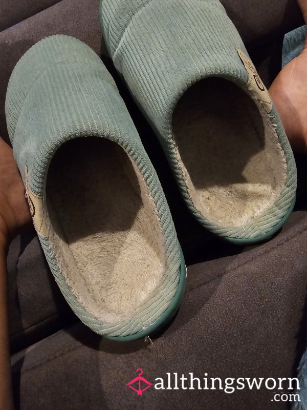 Well Worn Delicious Slippers