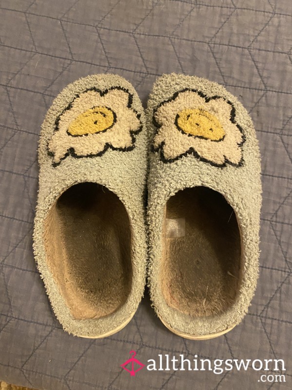 Well Worn House Slippers