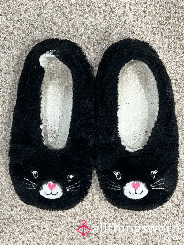 Well Worn Kitty Slippers