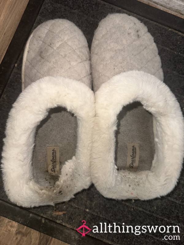 Well-worn Slippers