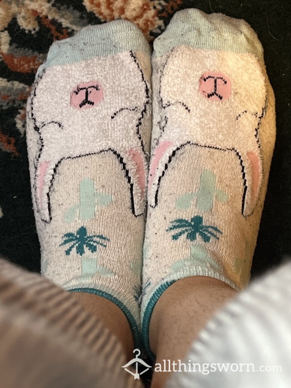 🇺🇸 White Ankle Socks With Llamas And Cacti