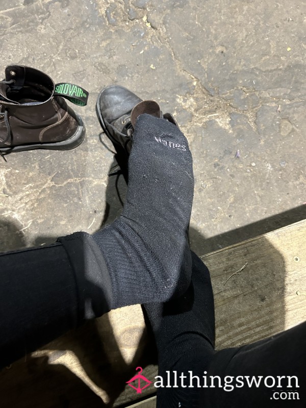 Work Week Black Crew Socks