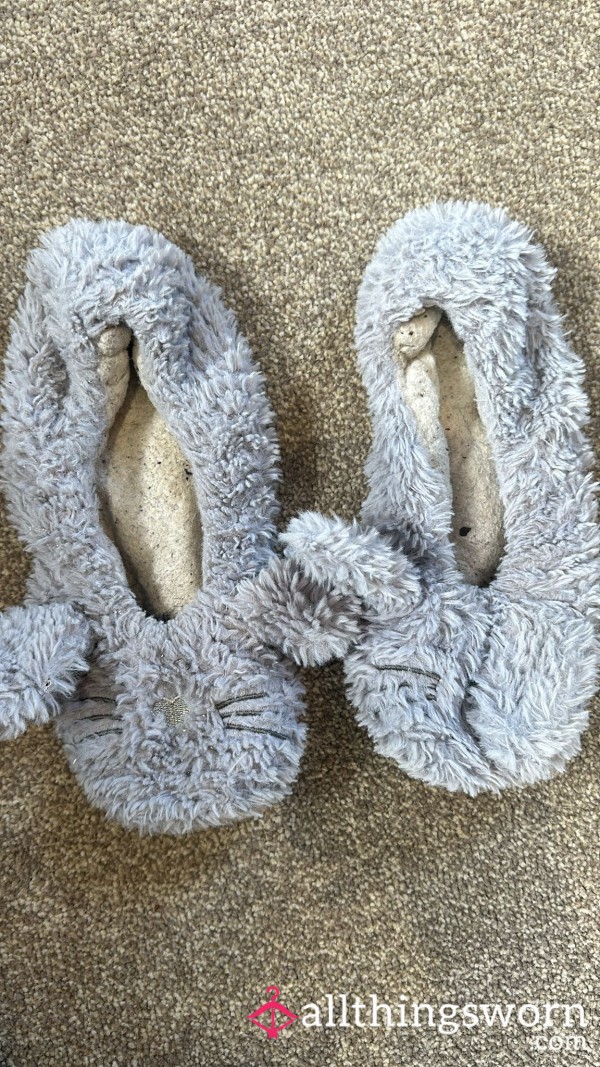 Worn Slippers #3