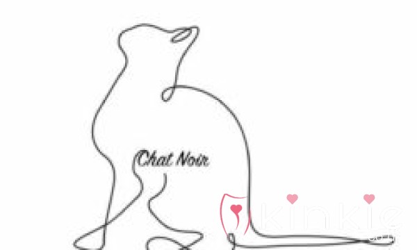 Chat Noir