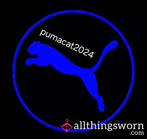 PumaCat2024